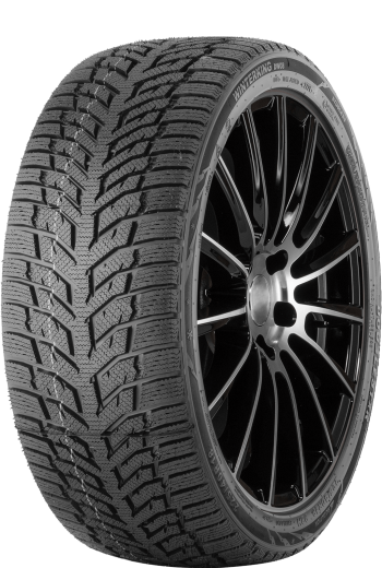 Фото Doublestar Winterking DW08 195/65 R15 91T нешип