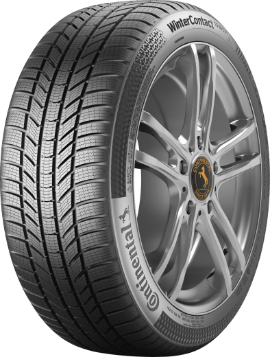 Фото Continental WinterContact TS870 P 255/45 R20 101T нешип