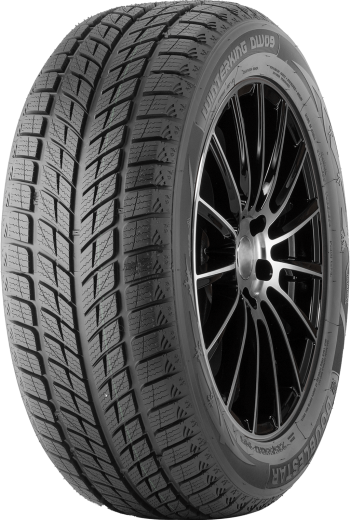 Фото Doublestar Winterking DW09 235/55 R20 102H Китай нешип