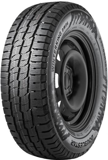 Фото Doublestar Winterking DW06 195/75 R16C 107/105R Китай нешип