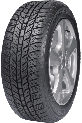 Фото Evergreen EW62 165/65 R14 79T нешип