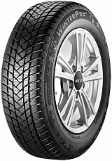 GT Radial WinterPro 2 205/55 R17 95H XL нешип