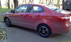 Диски Скад Аллигатор (SKAD Alligator)