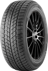 DoubleStar Winterking DW09 255/50 R20 109H нешип