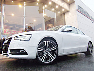 Диски OZ Racing Cortina (ОЗ Рейсинг Кортина)